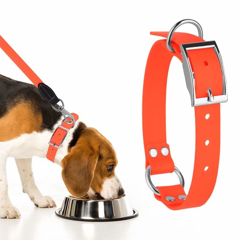 Safe Waterproof Dog Collars PVC based Coated Nylon Material Weather Resistant